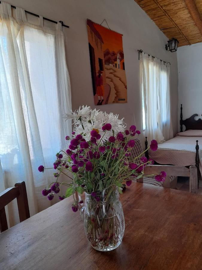 Villa Cactus Y Almacen - Purmamarca Extérieur photo